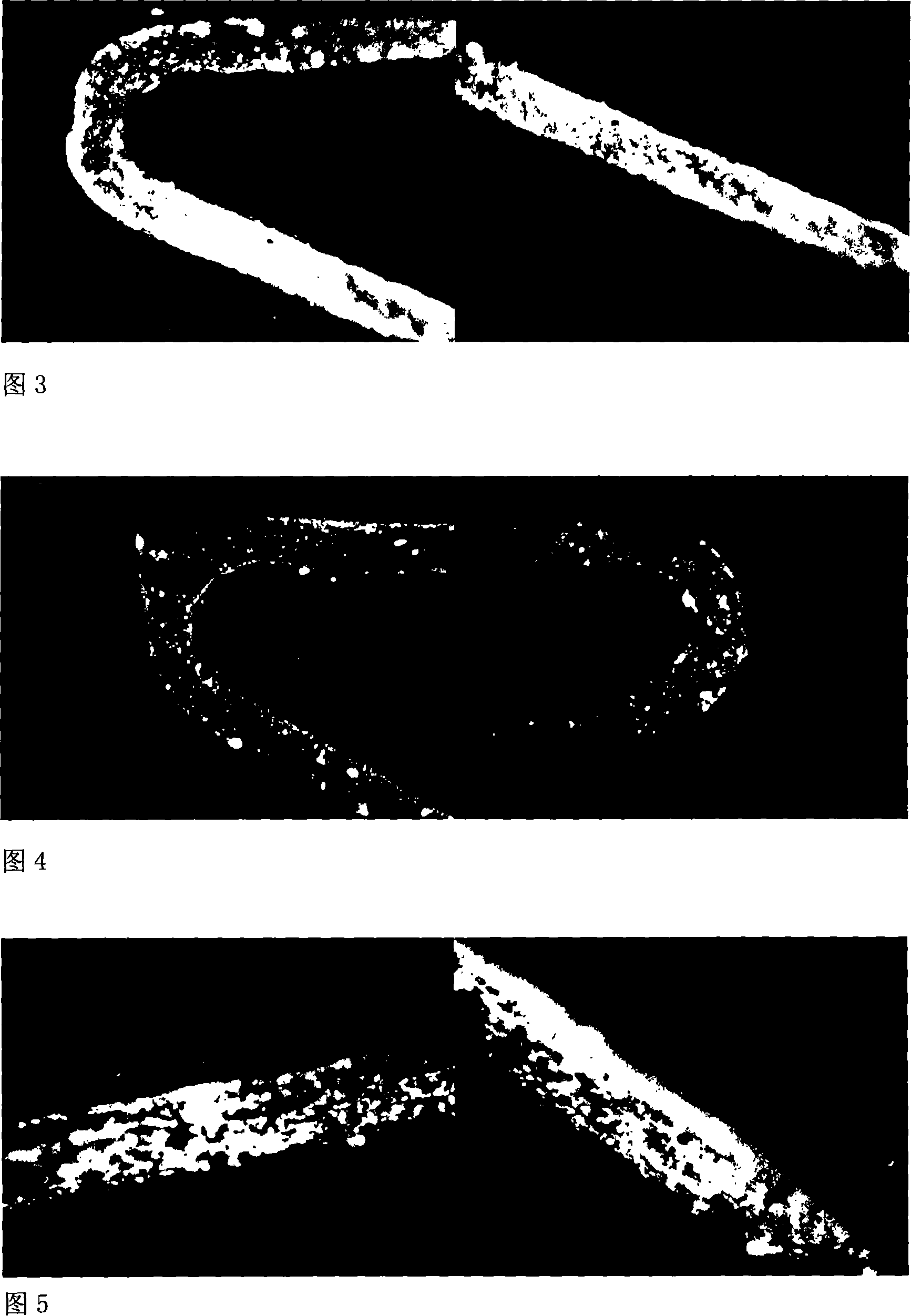 Metallic blood vessel bracket coating for osamine glycan load CD133 antibody and method for preparing the same