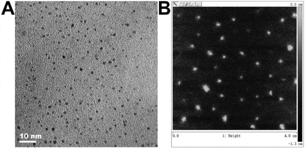 Ratio-type Ca&lt;2+&gt; fluorescent probe, and synthetic method and application thereof