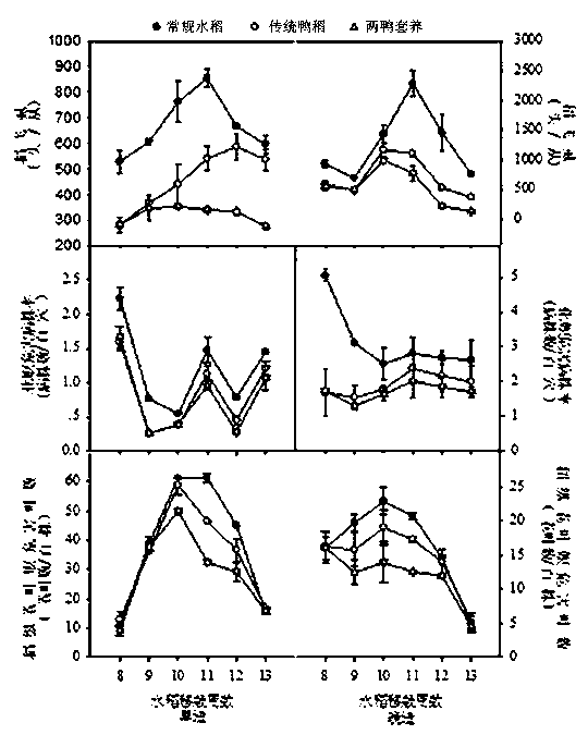 Method for continuously controlling insect pests and weeds of field quarter paddy through intercropping two batches of ducks