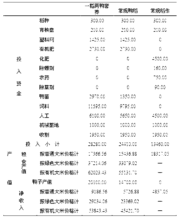 Method for continuously controlling insect pests and weeds of field quarter paddy through intercropping two batches of ducks