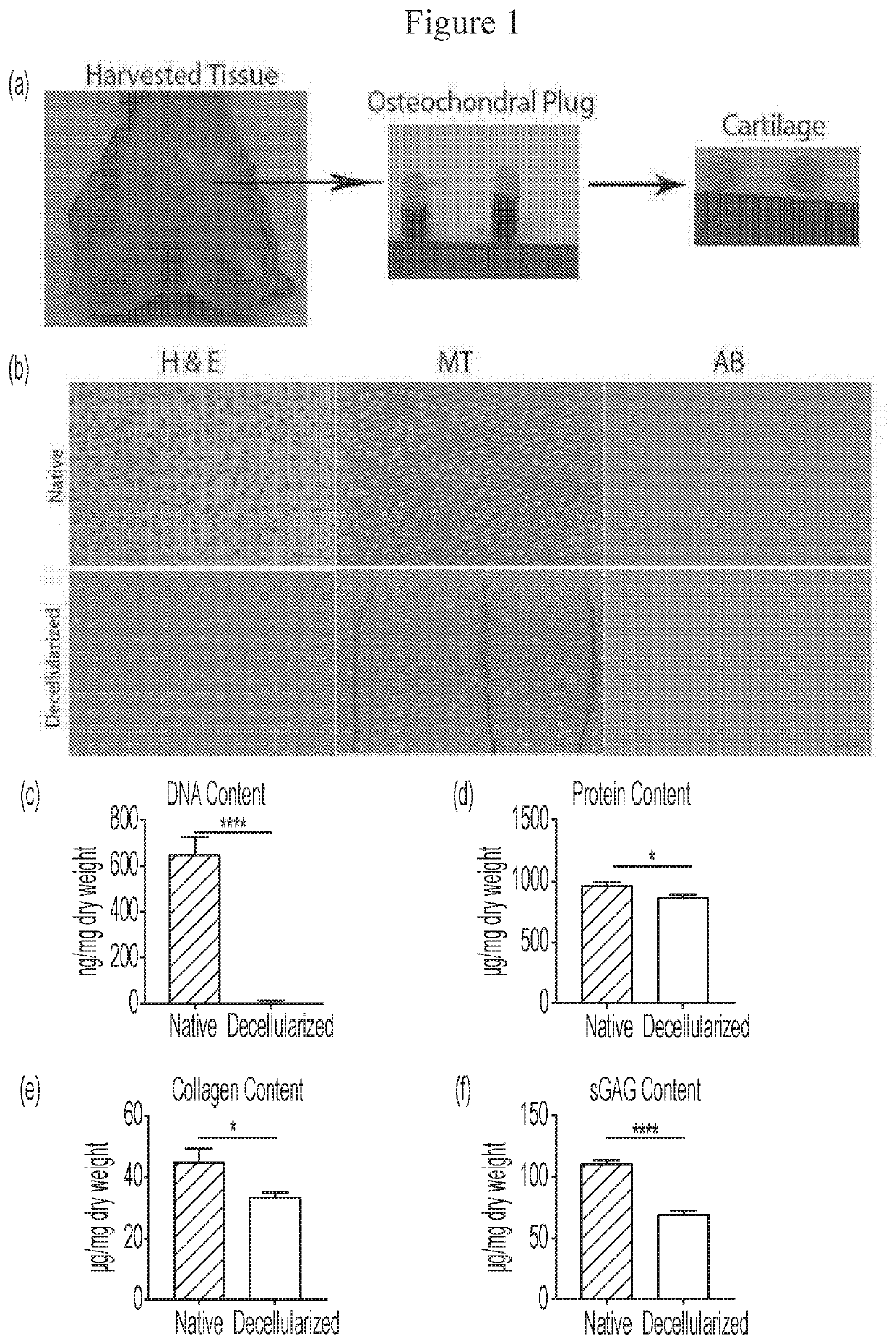 Microspheres Containing Decellularized Donor Tissue and Their Use in Fabricating Polymeric Structures