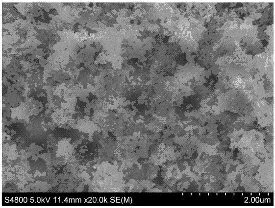 Magnetic nanoparticle, preparation method and application of magnetic nanoparticle