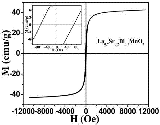 Magnetic nanoparticle, preparation method and application of magnetic nanoparticle