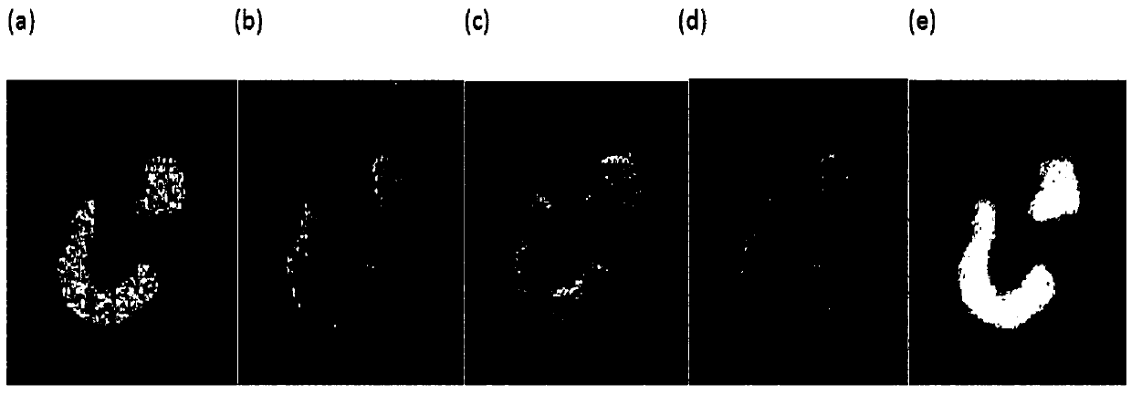 Method and system for constructing adaptive weight active contour model based on fractional differential information