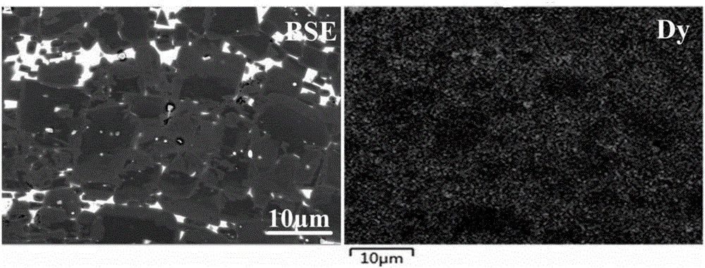 Rare-earth permanent magnet and fabrication method thereof