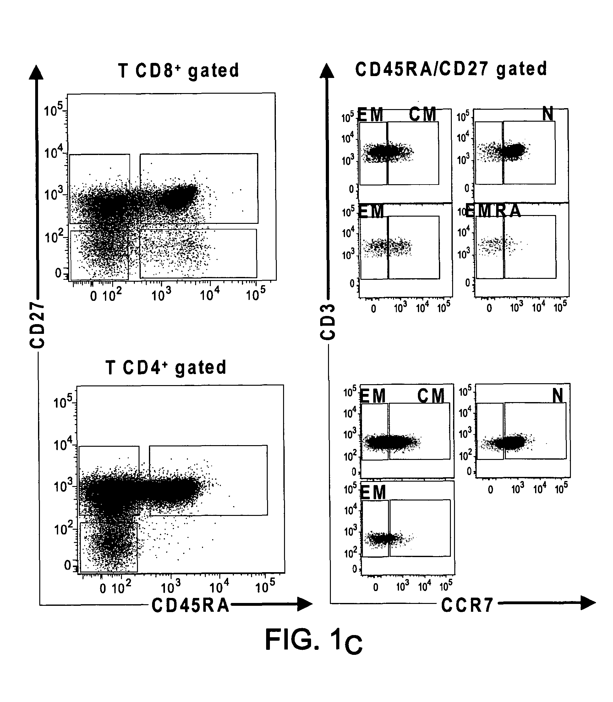 BTLA Antibodies and Uses Thereof