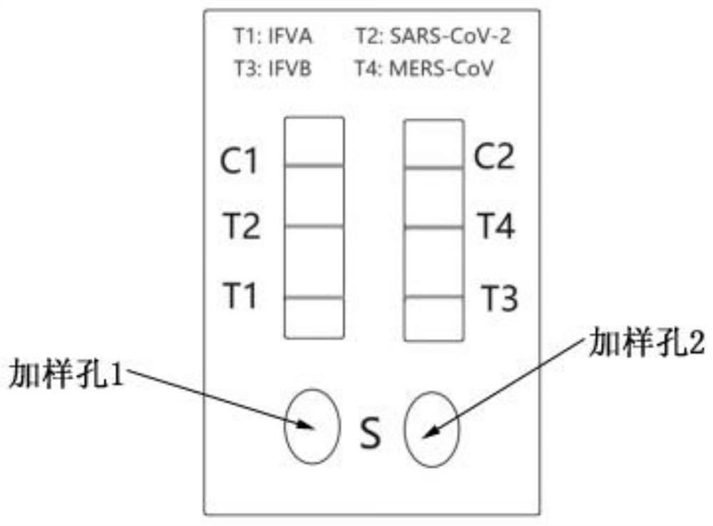 Novel coronavirus, MERS and influenza A/B virus four-in-one rapid detection kit