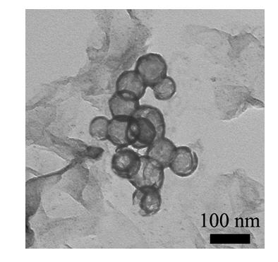 Nano iron phosphate hollow sphere/graphene composite material and preparation method thereof