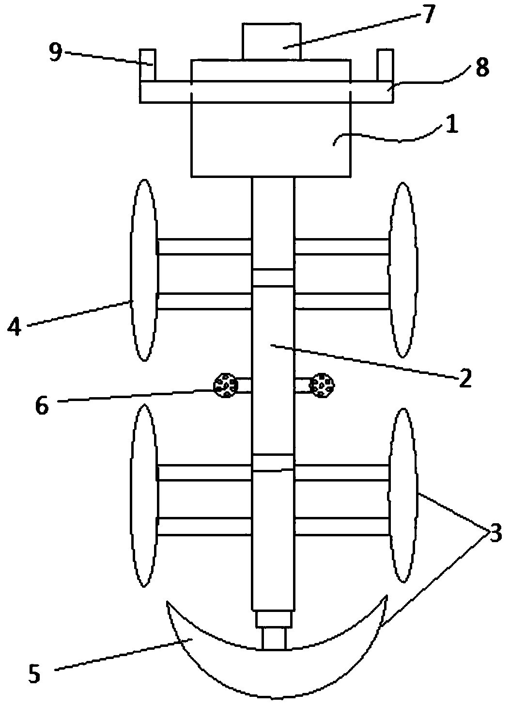 Cleaning and descaling device