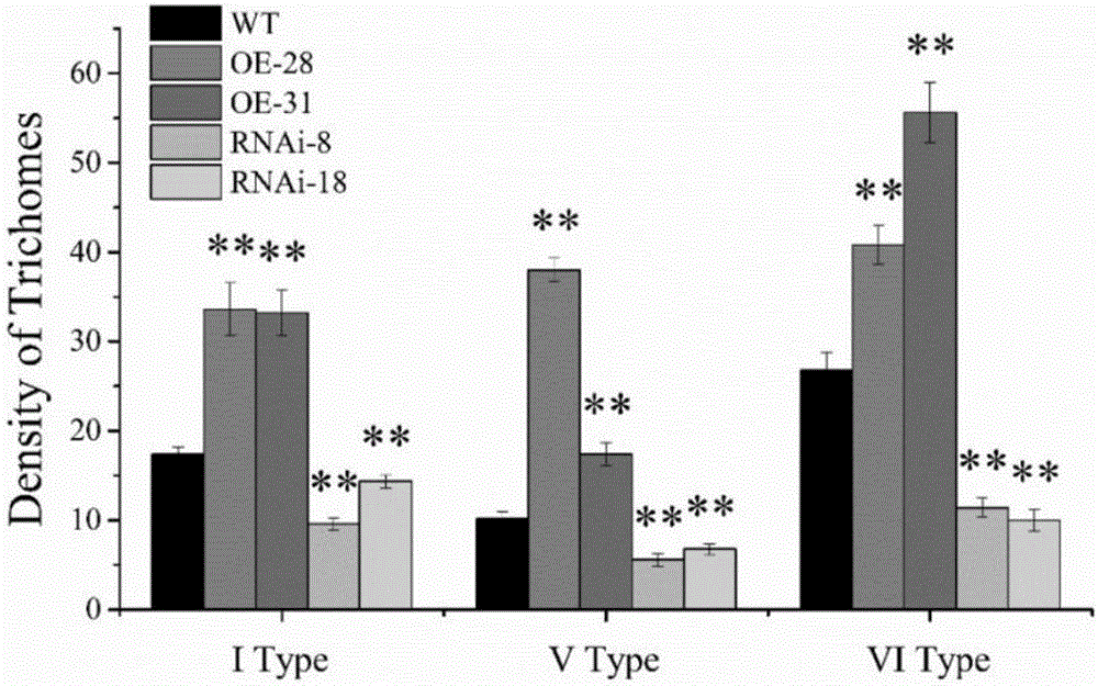 Method for enhancing plant insect resistance