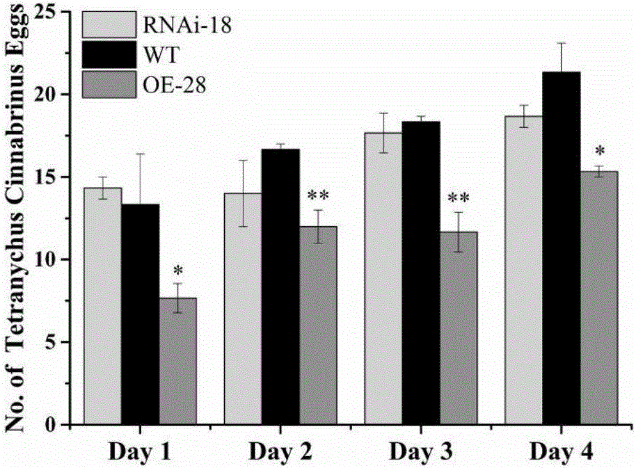 Method for enhancing plant insect resistance