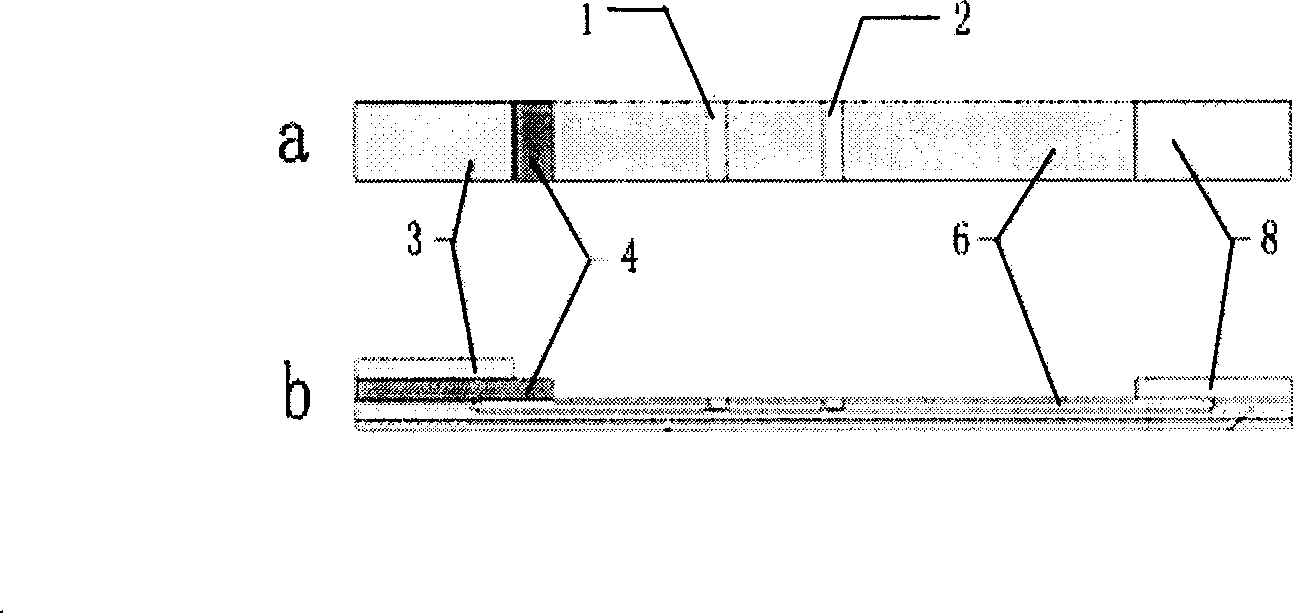 Immunization chromatograph test paper for detecting plague yersinia and preparation method thereof