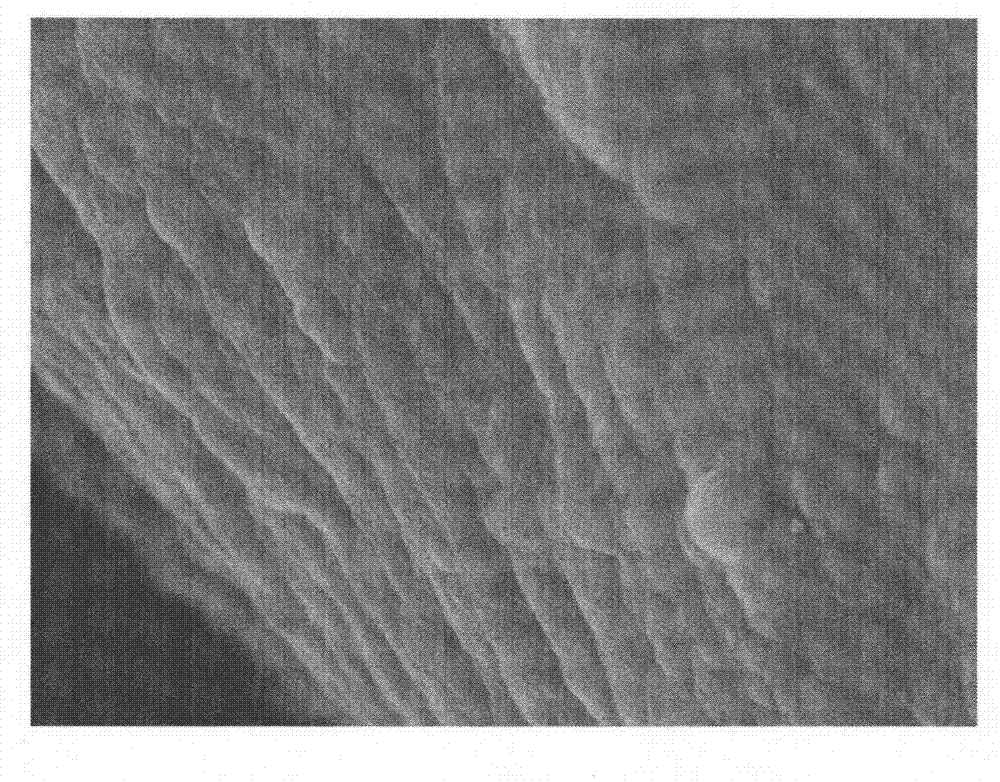 Preparation method for flexible electrode material for super capacitor