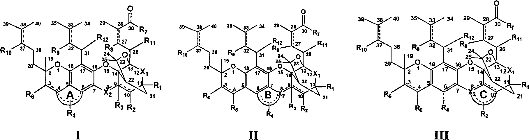 Gambogic acid cyclized analog, preparation method and application thereof