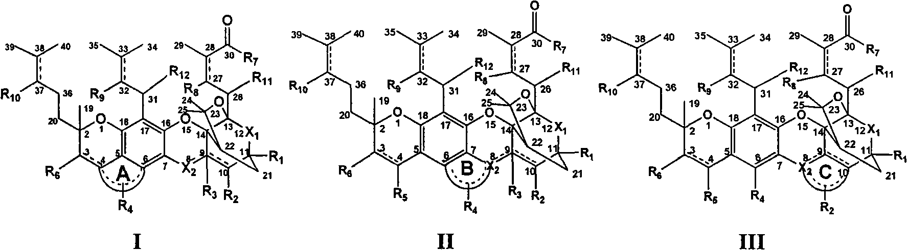 Gambogic acid cyclized analog, preparation method and application thereof