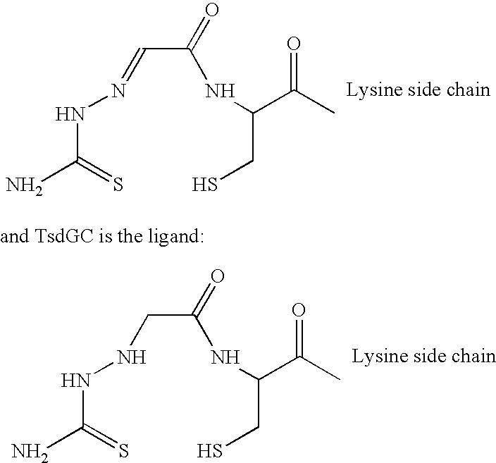 Landscaped antibodies and antibody fragments for clincal use