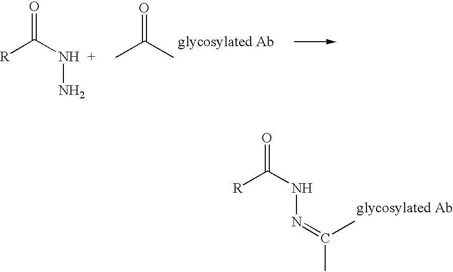 Landscaped antibodies and antibody fragments for clincal use