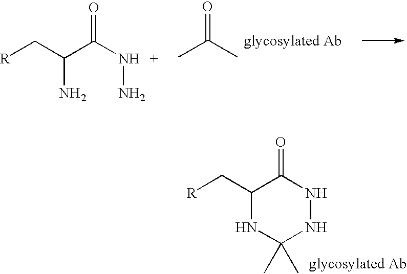 Landscaped antibodies and antibody fragments for clincal use