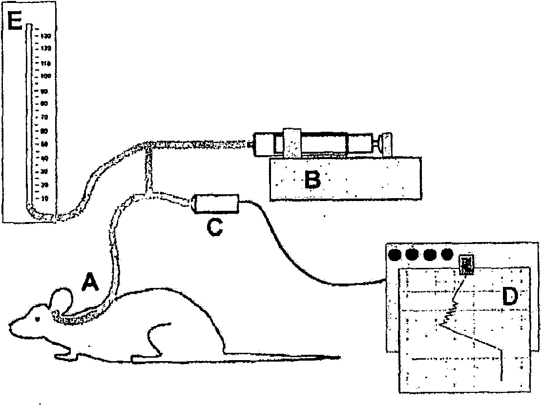 Methods of treating mammals with eustachian tube dysfunctions