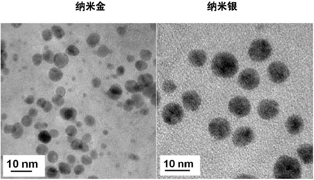 Nanogold-containing antimicrobial sodium carboxymethyl cellulose dressing