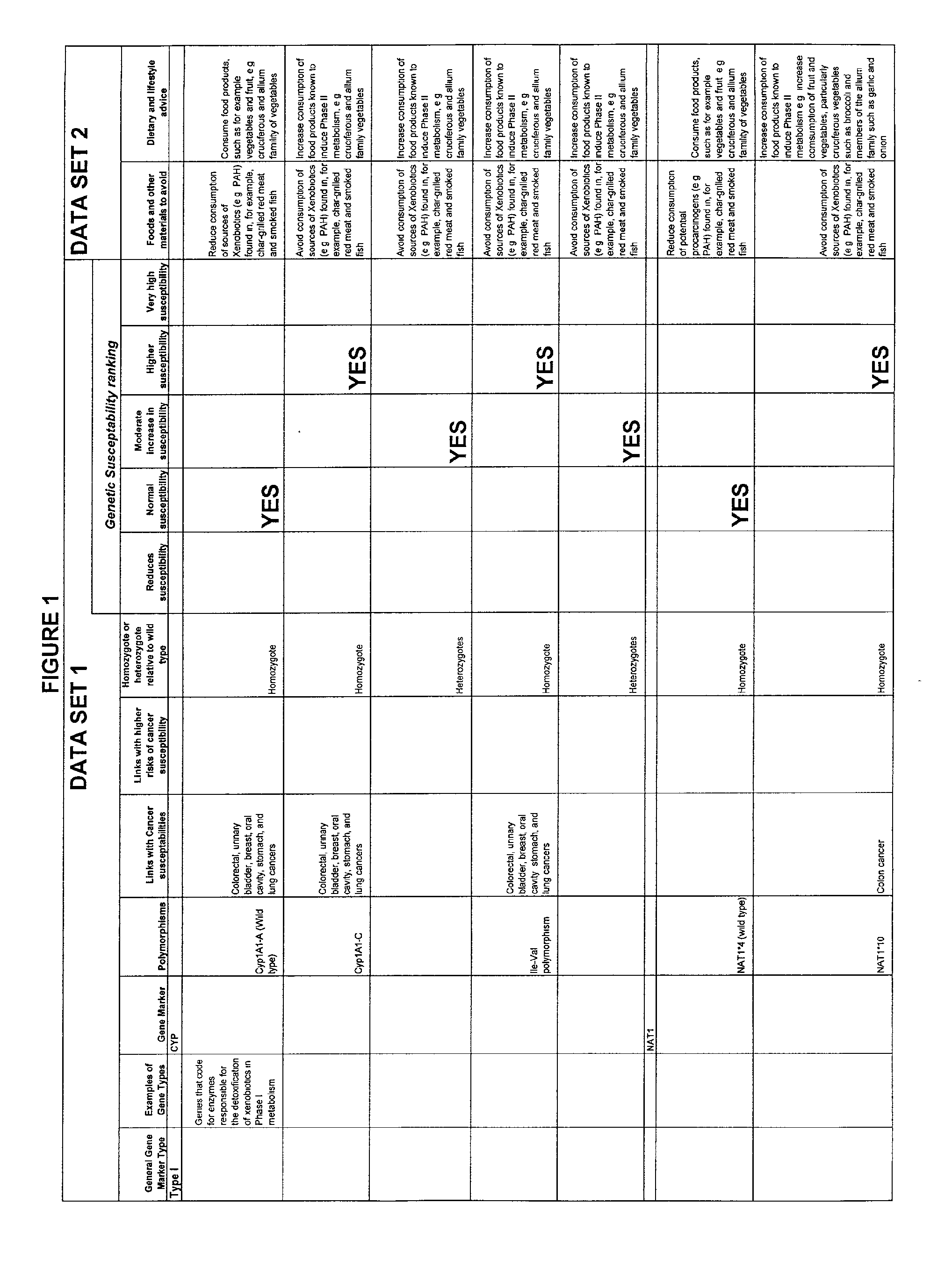 Computer-assisted means for assessing lifestyle risk factors