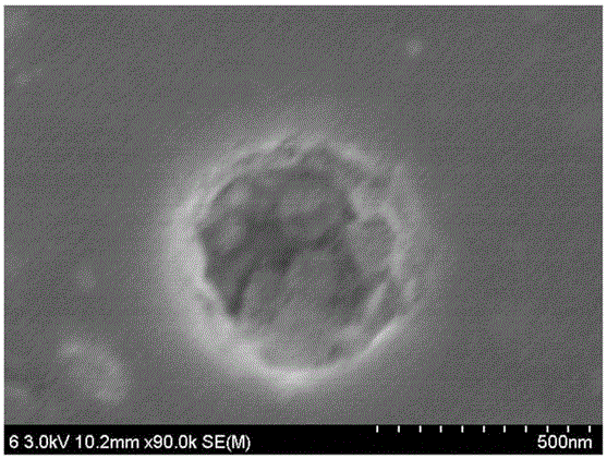 A biological hard tissue replacement and repair material and its preparation method