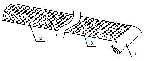 Ingrowing nail correction device and method