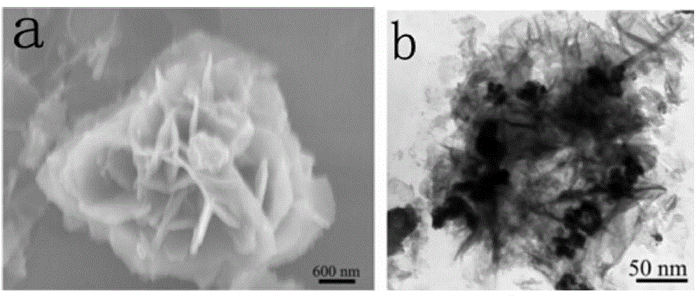 Titanium dioxide/polyaniline photocatalyst with 3D pattern structure and preparation method of titanium dioxide/polyaniline photocatalyst