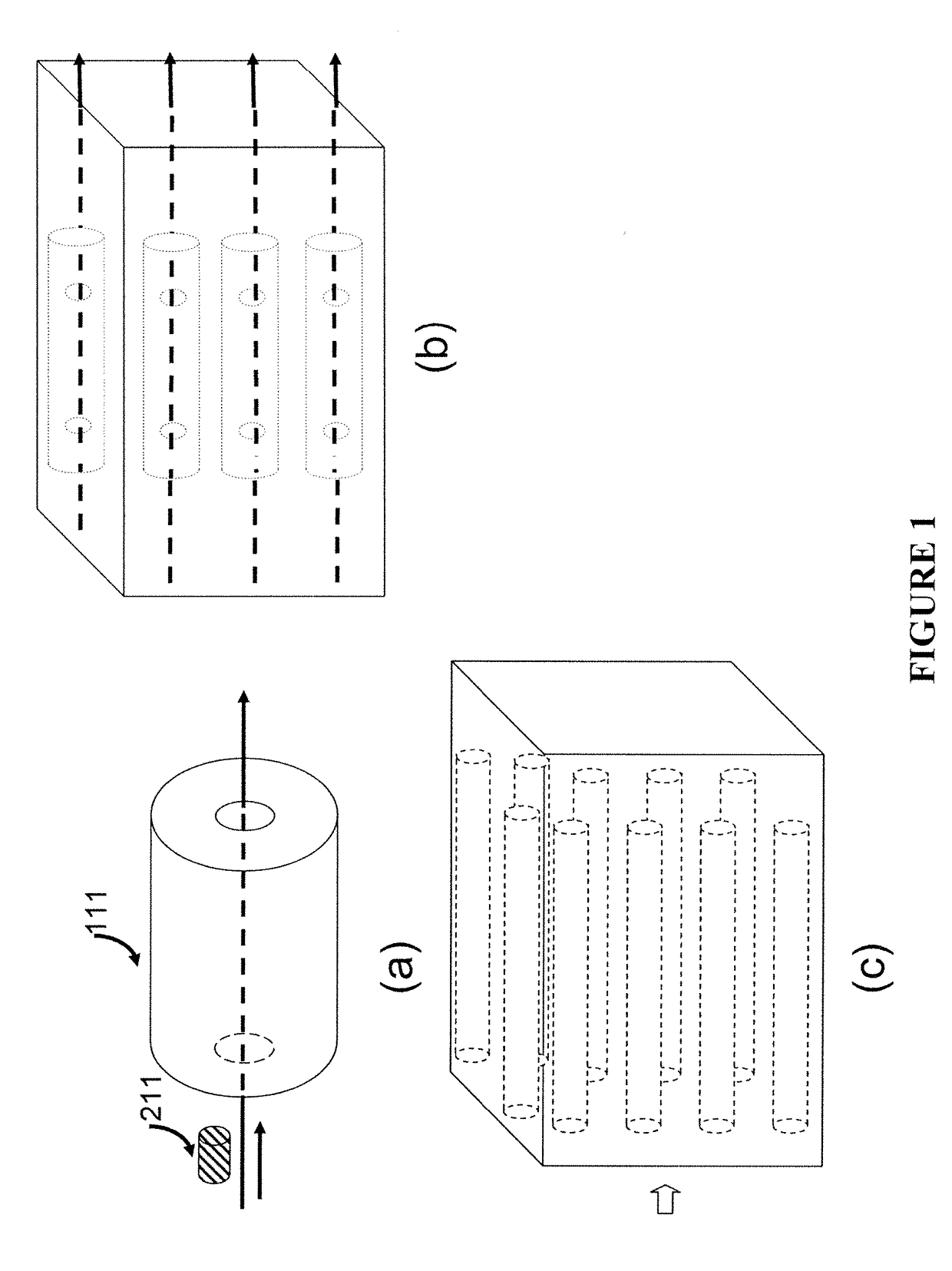 Apparatus for Disease Detection