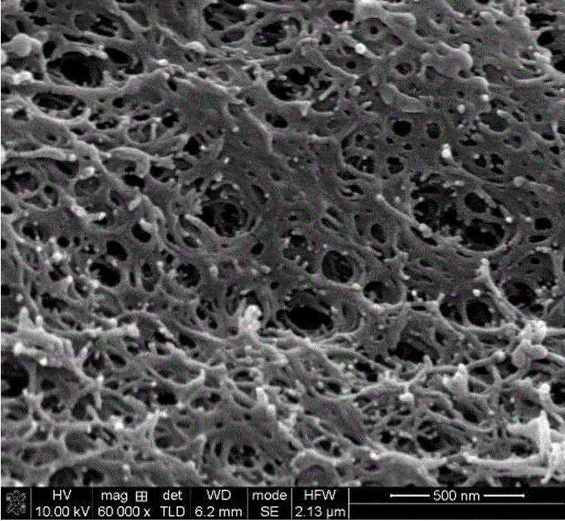 Cellulose triacetate aerogel and preparation method