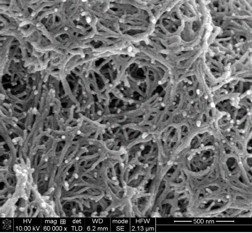 Cellulose triacetate aerogel and preparation method