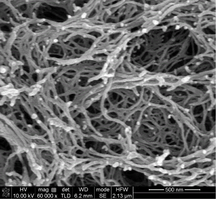 Cellulose triacetate aerogel and preparation method