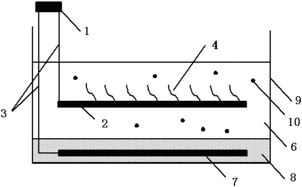 Combined method for restoring eutrophicated water body on basis of SMFC (sediment microbial fuel cell) and filamentous green algae