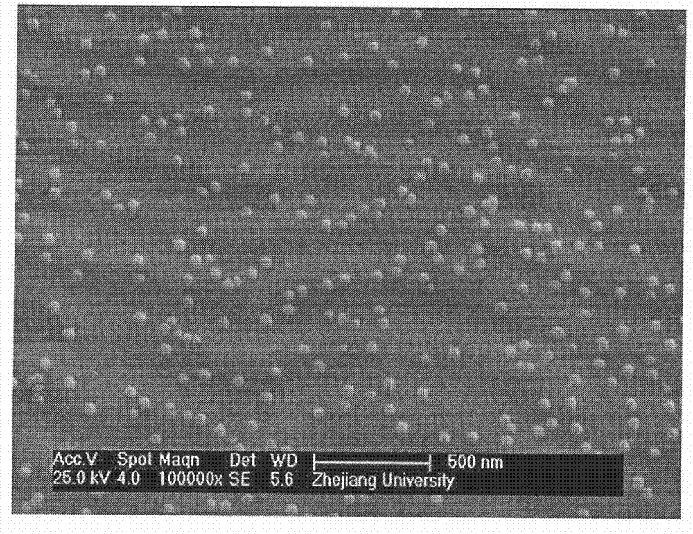 Preparation method of trinary composite stent of plasmid DNA / fibrin gel / polymer