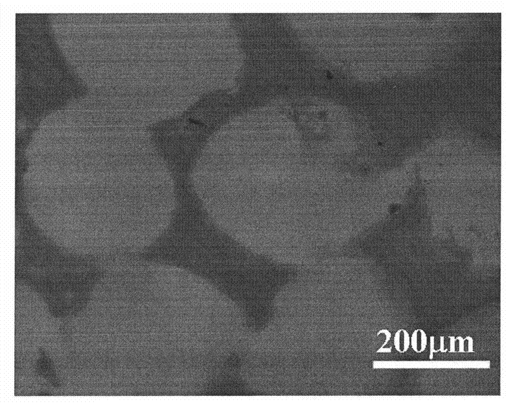 Preparation method of trinary composite stent of plasmid DNA / fibrin gel / polymer