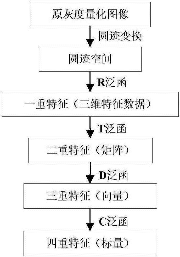 Image invariant feature extraction based on circular trace transform