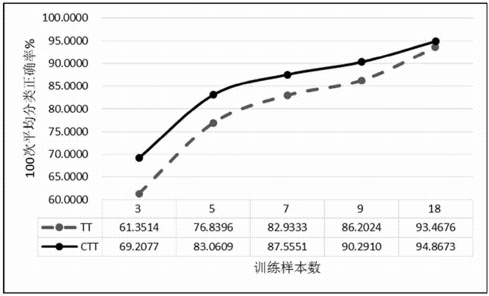 Image invariant feature extraction based on circular trace transform