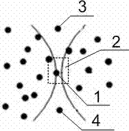 Blood Flow Velocity Imaging Method Based on Lateral Velocity Model