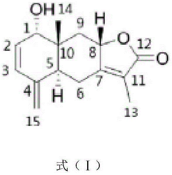 Application of Linderolide G in preparing medicine for resisting tubercle bacillus