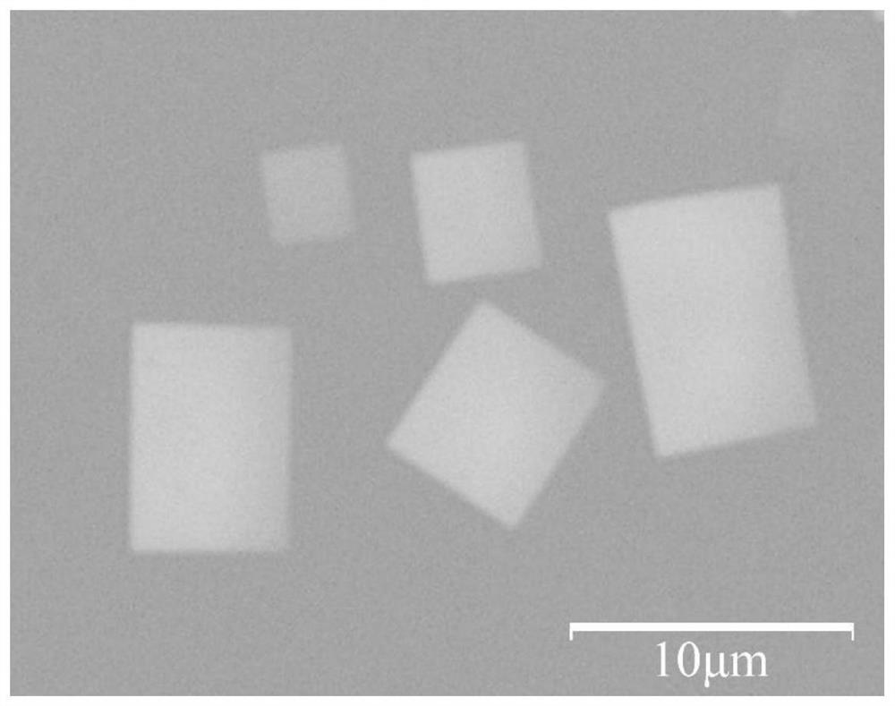 Preparation method, product and application of a two-dimensional ndocl single crystal material