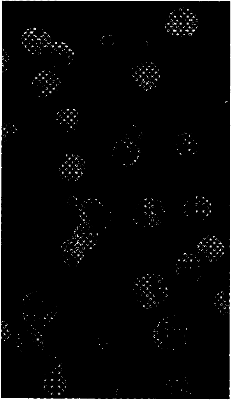 Mannan-containing ligand and preparation method and application thereof