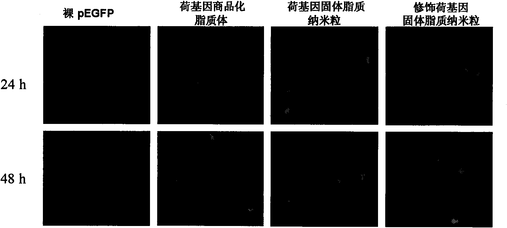 Mannan-containing ligand and preparation method and application thereof