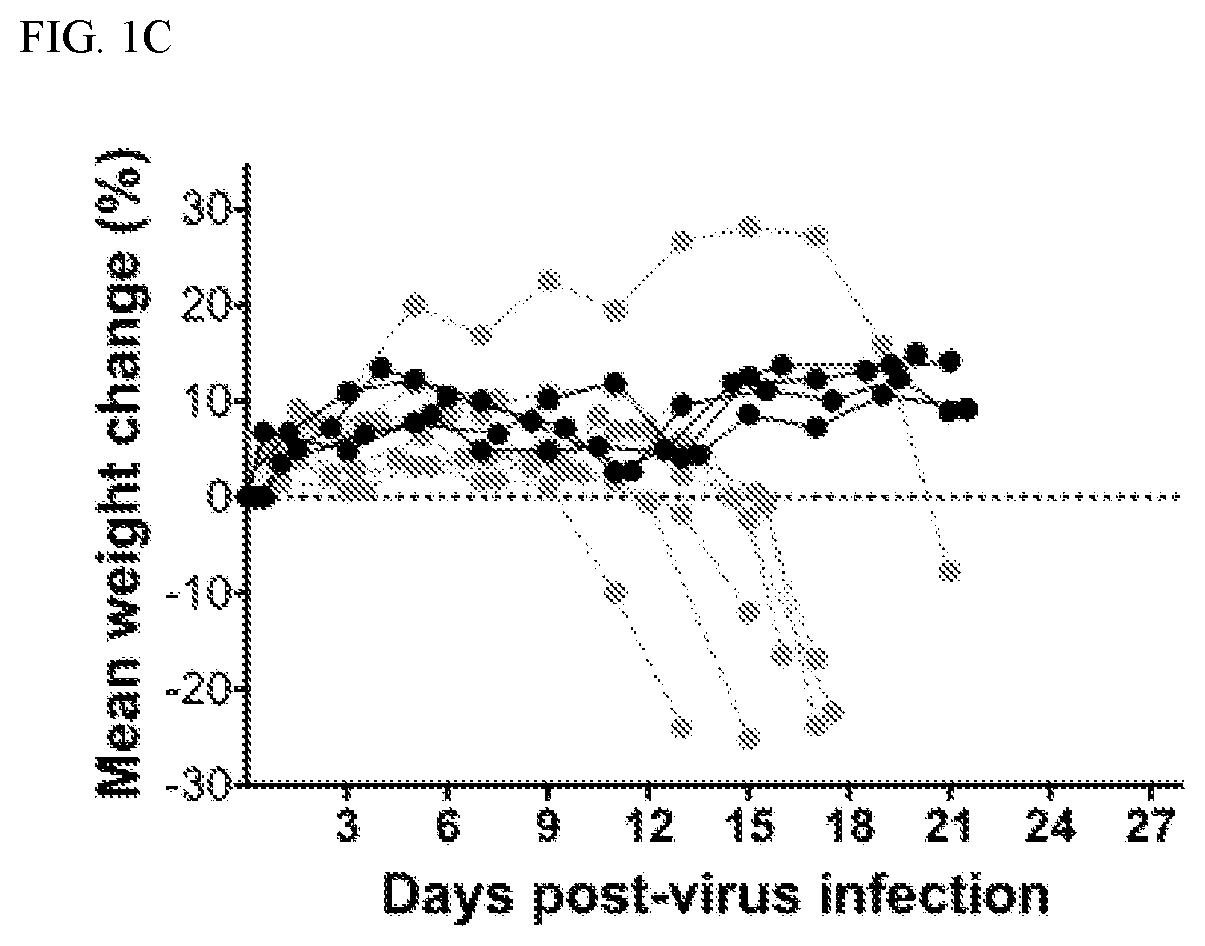 Methods and compositions for treatment of zika virus infection