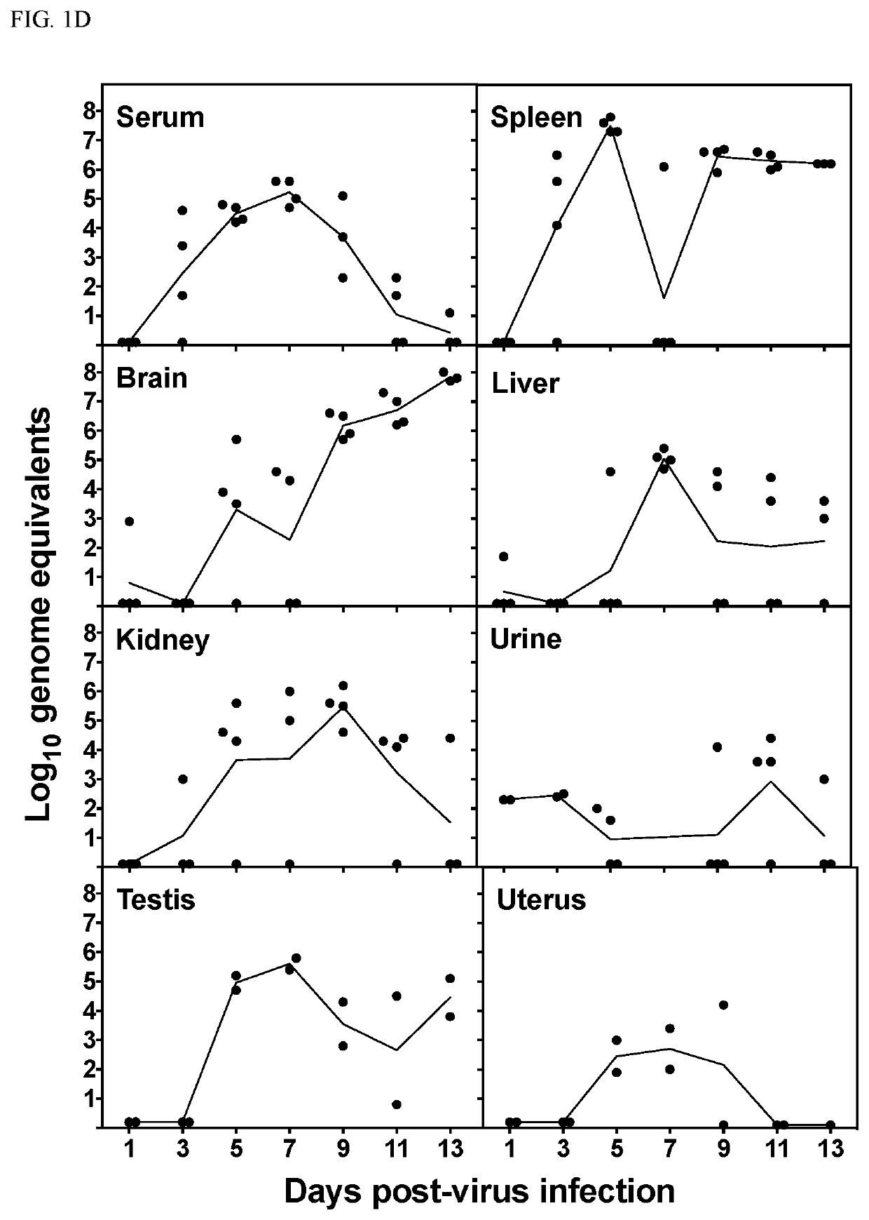 Methods and compositions for treatment of zika virus infection