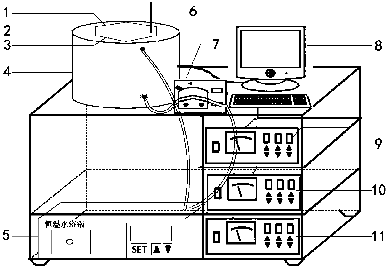 Ultrasonic preparation method of rapeseed protein microcapsule and application of rapeseed protein microcapsule as functional food