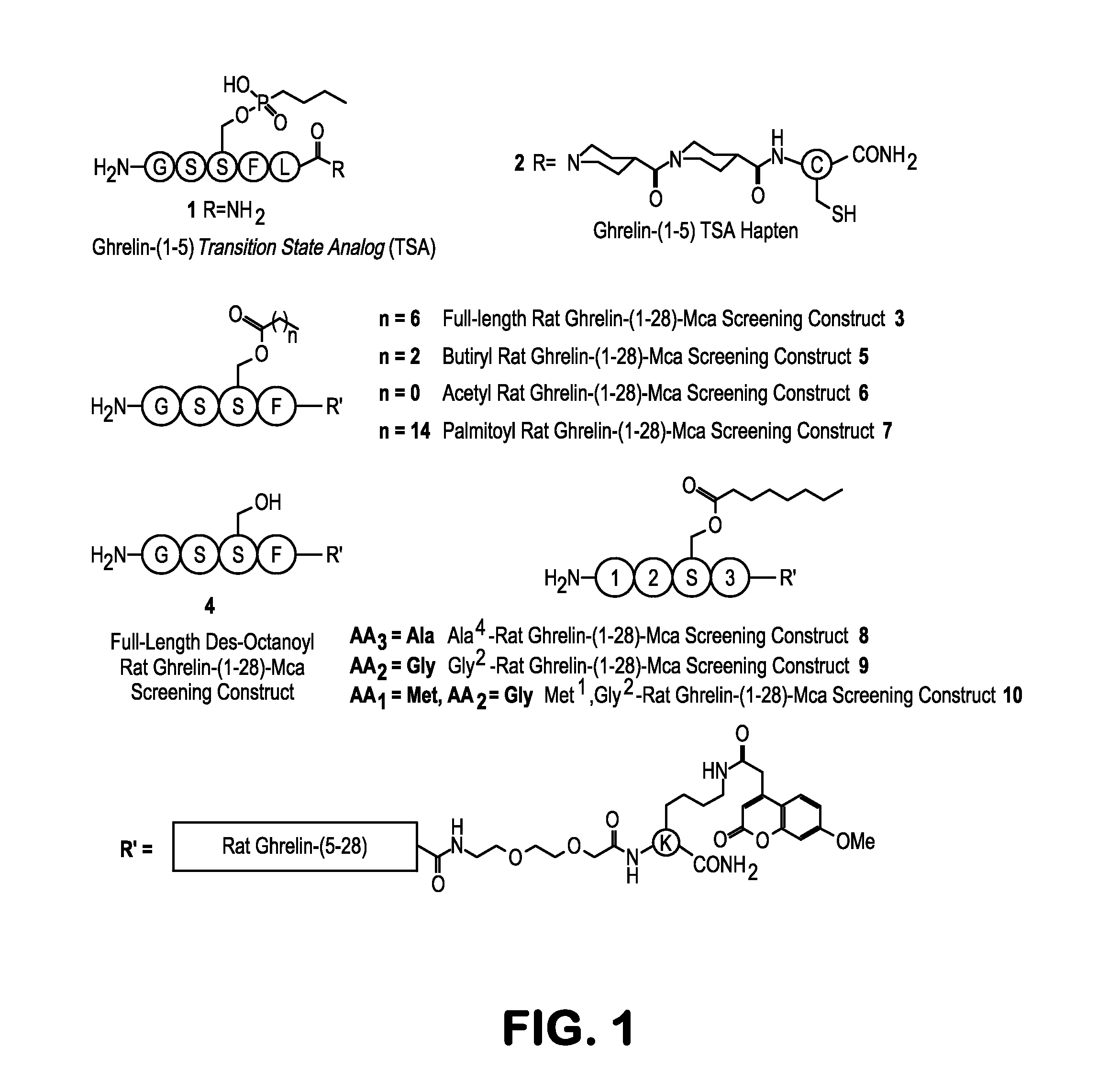 Methods and Compositions for Treating Obesity