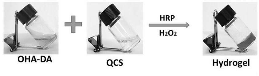 Preparation method and application of high-adhesion composite functional hydrogel