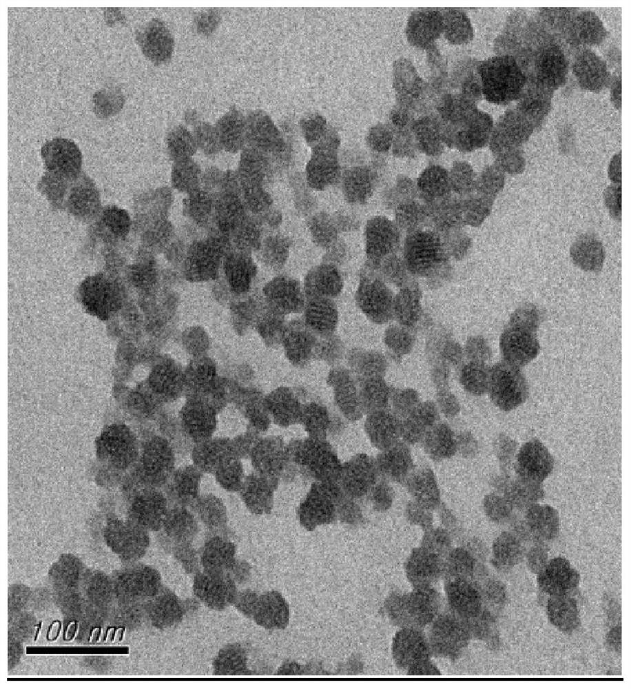 Surface-modified mesoporous silica nanoparticles, method for producing same, and use thereof