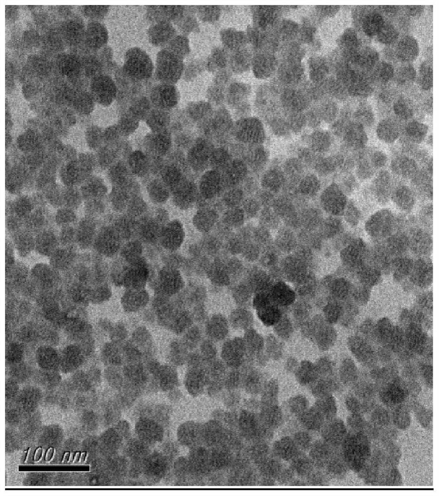 Surface-modified mesoporous silica nanoparticles, method for producing same, and use thereof