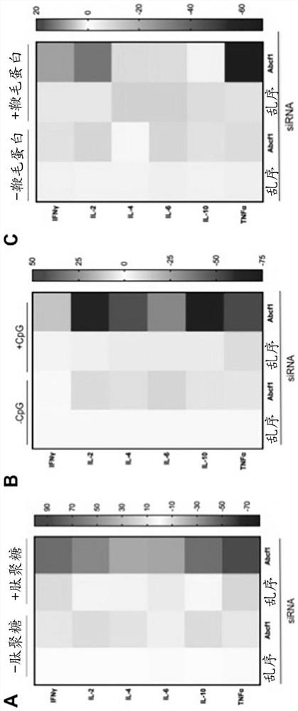 Method of immune modulation by modulating ABCF1